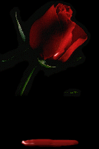 ddp09421ad1.gif