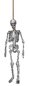 h04919aq.gif