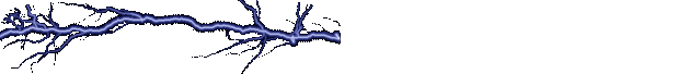 llo9419ed.gif